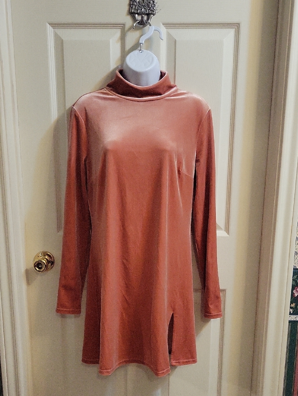 Reformation Velvet Mock Neck Long Sleeve Mini Dress in Dusty Rose